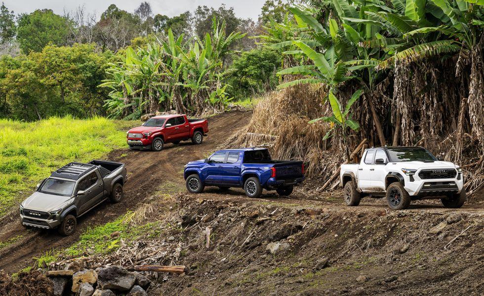 2024-toyota-tacoma-lineup-102-6463c7657261b.jpg