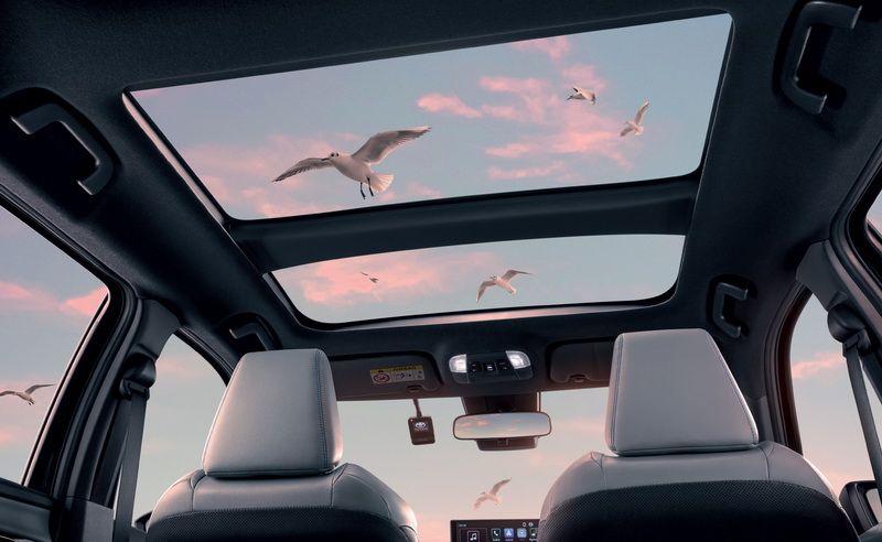 Panoramic roof&nbsp;