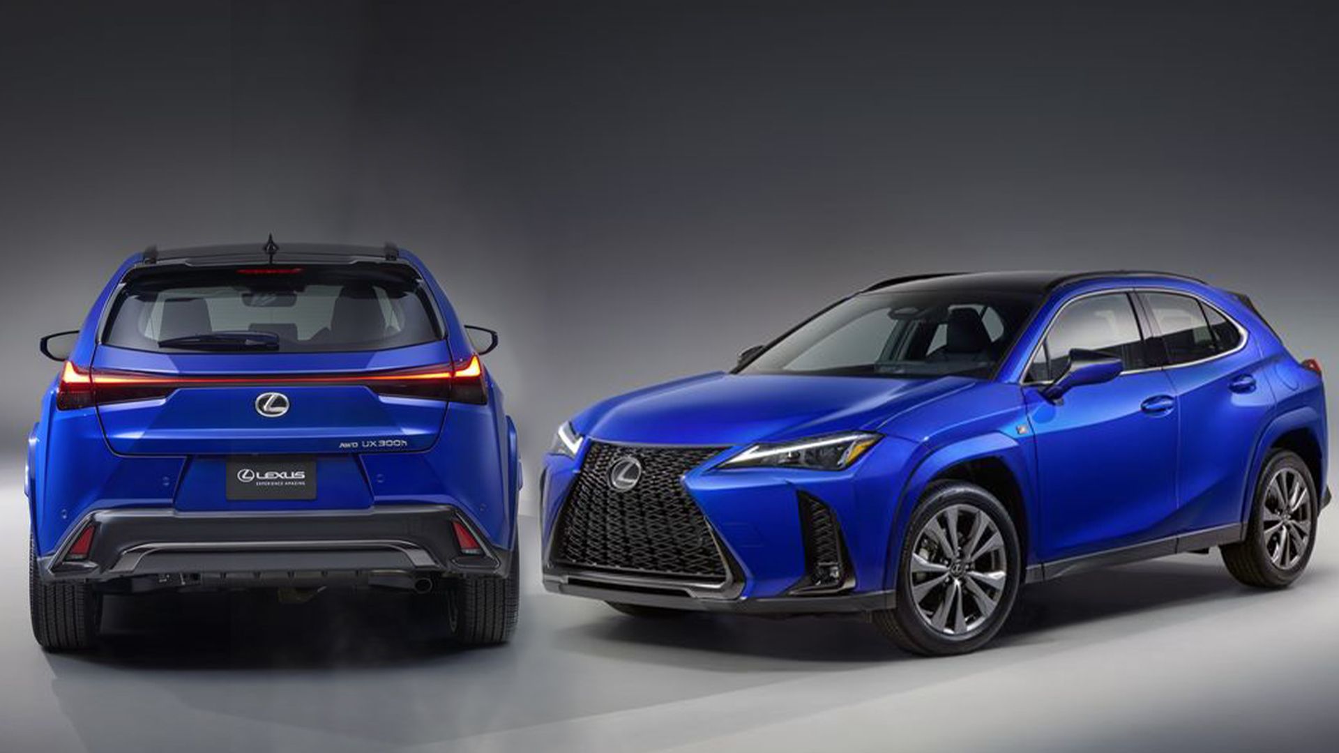 Lexus UX 2025 ចេញតម្លៃជាផ្លូវការហើយ ថ្លៃជាងមុន 1,000ដុល្លារ